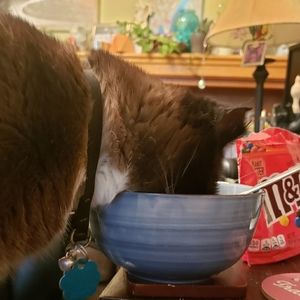 Meet your Posher, Ava marie